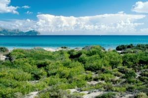 Benvinguts Ξενοδοχείο Port de Alcudia  Εξωτερικό φωτογραφία